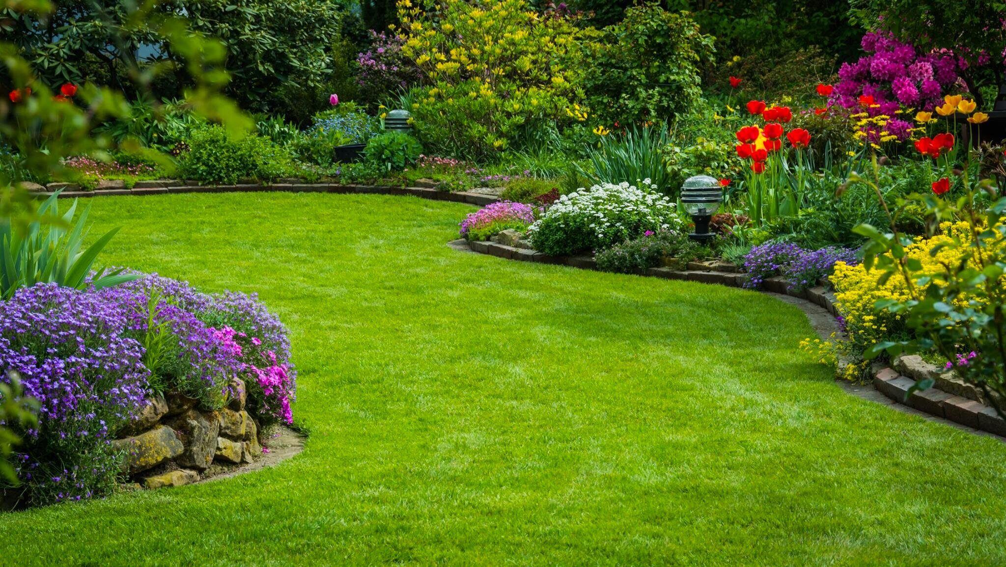 lal lawn