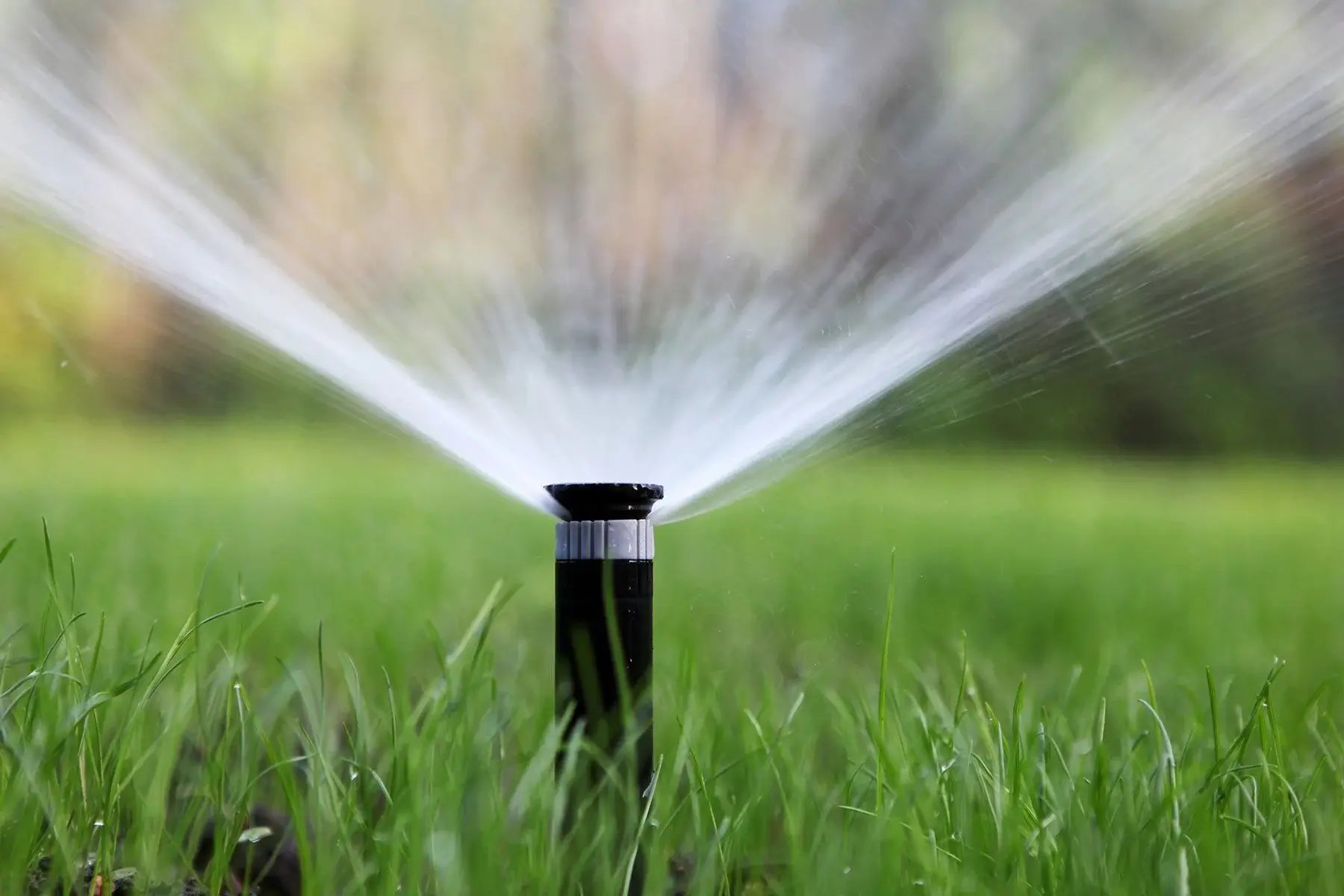 lal sprinkler